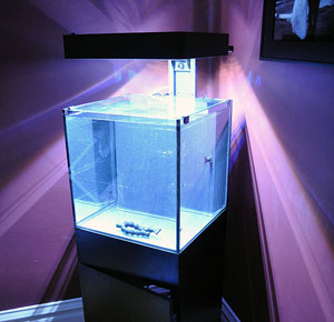 Moreel onderwijs tieners Verlenen Verlichting boven het aquarium
