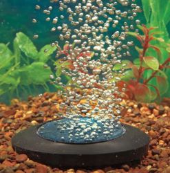 radar Geef rechten tabak Zuurstofrijk aquariumwater